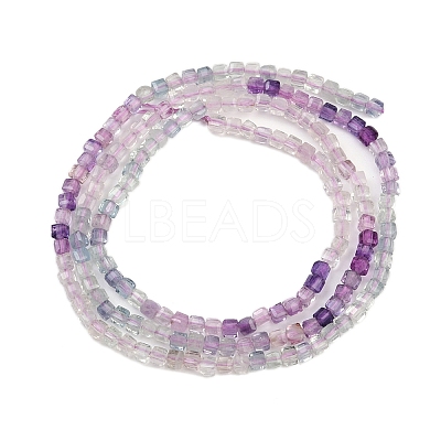 Natural Fluorite Beads Strands G-P457-B01-55-1