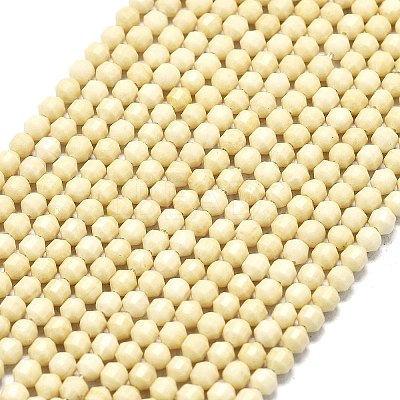 Natural Fossil Beads Strands G-A260-A35-01-1