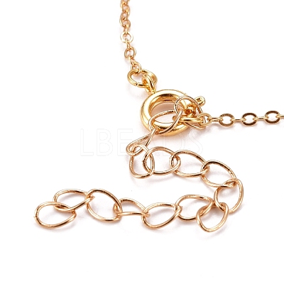 Natural Lapis Lazuli Wire Wrapped Pendant Necklaces NJEW-JN03080-03-1