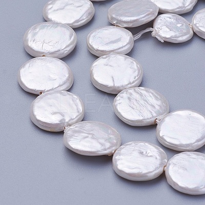 Shell Pearl Beads Strands X-BSHE-P030-01B-1
