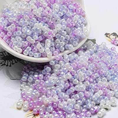 Glass Seed Beads SEED-K009-02B-22-1