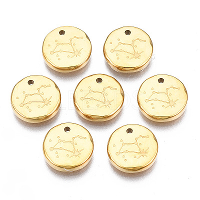 316 Surgical Stainless Steel Charms LS-STAS-S116-418H-G-1
