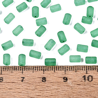 FGB Frosted Transparent Glass Seed Beads SEED-N013-05A-09-1