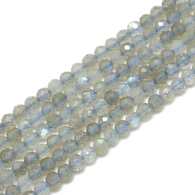 Natural Labradorite Beads Strands X-G-S300-23-3mm-1