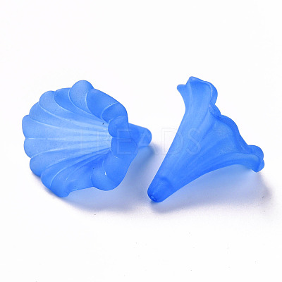 Transparent Acrylic Beads BSF796-C05-1