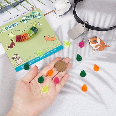 32Pcs 4 Colors Transparent Blank Acrylic Pet Dog ID Tag PALLOY-AB00045-1