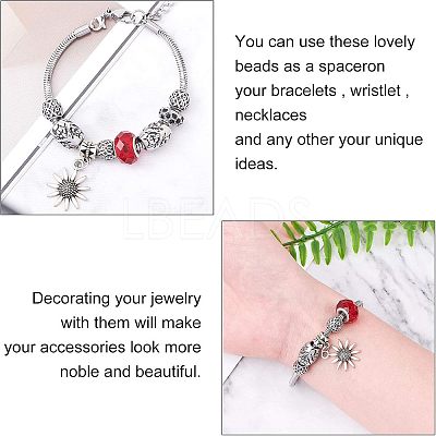 316 Stainless Steel European Beads STAS-UN0005-58-1