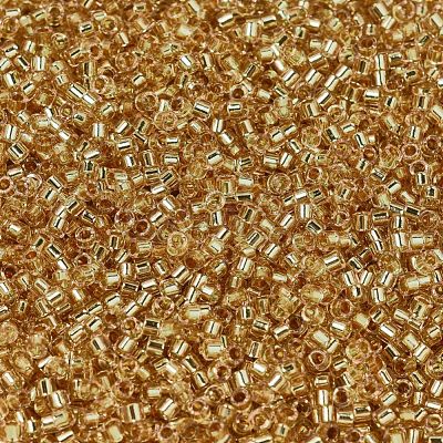 MIYUKI Delica Beads SEED-X0054-DB2521-1