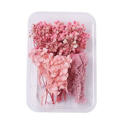 Dried Flowers X-DIY-D052-05-1