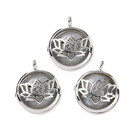Natural Labradorite Locket Pendants G-G982-01P-20-1