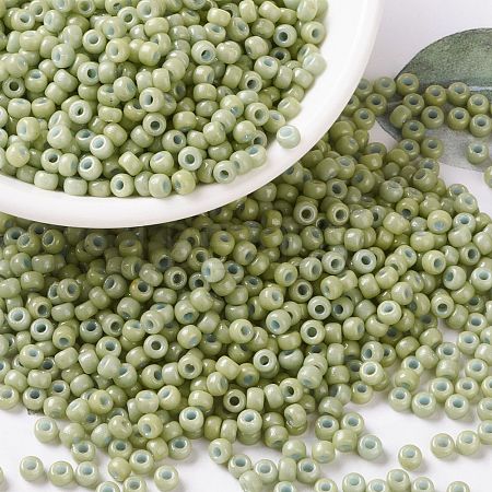 MIYUKI Round Rocailles Beads SEED-G008-RR4473-1