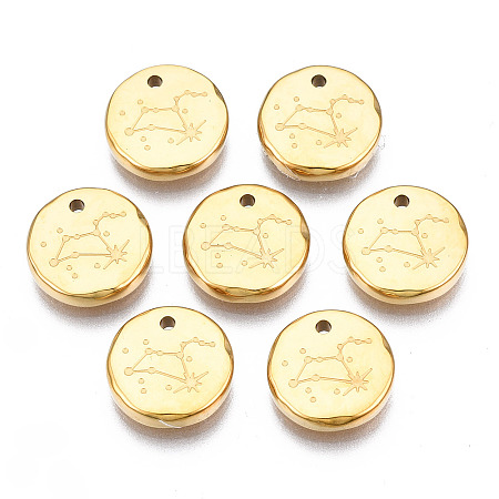 316 Surgical Stainless Steel Charms LS-STAS-S116-418H-G-1