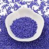 Baking Paint Glass Seed Beads X-SEED-S042-05B-74-2