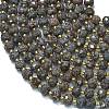 Natural Snowflake Obsidian Beads Strands G-K389-E32-01-3