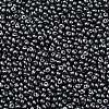 6/0 Glass Seed Beads SEED-L011-08A-10-3