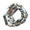 Natural Larimar Beads Strands G-D353-A03-3