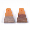 Resin & Wood Pendants RESI-S358-52I-2