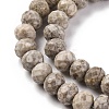 Natural Conch Fossil Beads Strands G-K380-A41-01-4