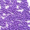 Baking Paint Glass Seed Beads SEED-A032-02T-3