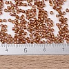 MIYUKI Delica Beads X-SEED-J020-DB1736-4