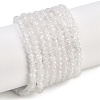 Natural Rainbow Moonstone Beads Strands G-F778-A06-01-1
