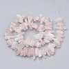 Natural Rose Quartz Beads Strands G-S338-17-2