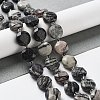 Natural Black Silk Stone/Netstone Beads Strands G-NH0004-037-2