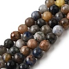 Natural Sodalite Beads Strands G-F591-13A-2