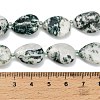 Natural Tree Agate Beads Strands G-NH0068-01-5