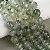Natural Prehnite Beads Strands G-G474-A01-12mm-1