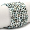 Natural Larimar Beads Strands G-F785-B01-01A-2