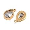 Plated 304 Stainless Steel & Glass Pendants GL-CBA5A59-01G-01-2