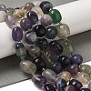 Natural Fluorite Beads Strands G-Q169-E07-01-2