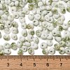 Baking Paint Glass Seed Beads SEED-F006-01A-05-4