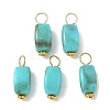 Opaque Acrylic Pendants PALLOY-JF04023-1