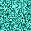 MIYUKI Round Rocailles Beads SEED-X0055-RR4475-2
