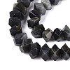 Natural Larvikite Beads Strands G-D091-A29-3