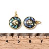 Brass Micro Pave Cubic Zirconia Charms KK-K384-12G-3