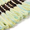 10 Skeins 6-Ply Polyester Embroidery Floss OCOR-K006-A14-2