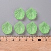 Transparent Frosted Acrylic Pendants MACR-S371-01A-733-4