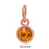 Rose Gold Plated Alloy Glass Rhinestone Charms PALLOY-TAC0016-A11-RG-1