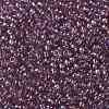 TOHO Round Seed Beads X-SEED-TR08-0166-2