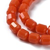 Opaque Glass Beads Strands GLAA-G112-03N-3