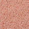 MIYUKI Round Rocailles Beads SEED-JP0008-RR0543-3