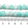 Natural Quartz Imitation Amazonite Beads Strands G-C179-B21-01-5