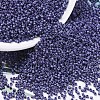 MIYUKI Delica Beads X-SEED-J020-DB0377-1