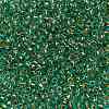 TOHO Round Seed Beads X-SEED-TR08-0755-2