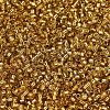 MIYUKI Delica Beads SEED-X0054-DB2525-3