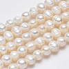 Natural Cultured Freshwater Pearl Beads Strands PEAR-L001-A-08-4