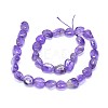 Natural Amethyst Beads Strands G-O173-098-2